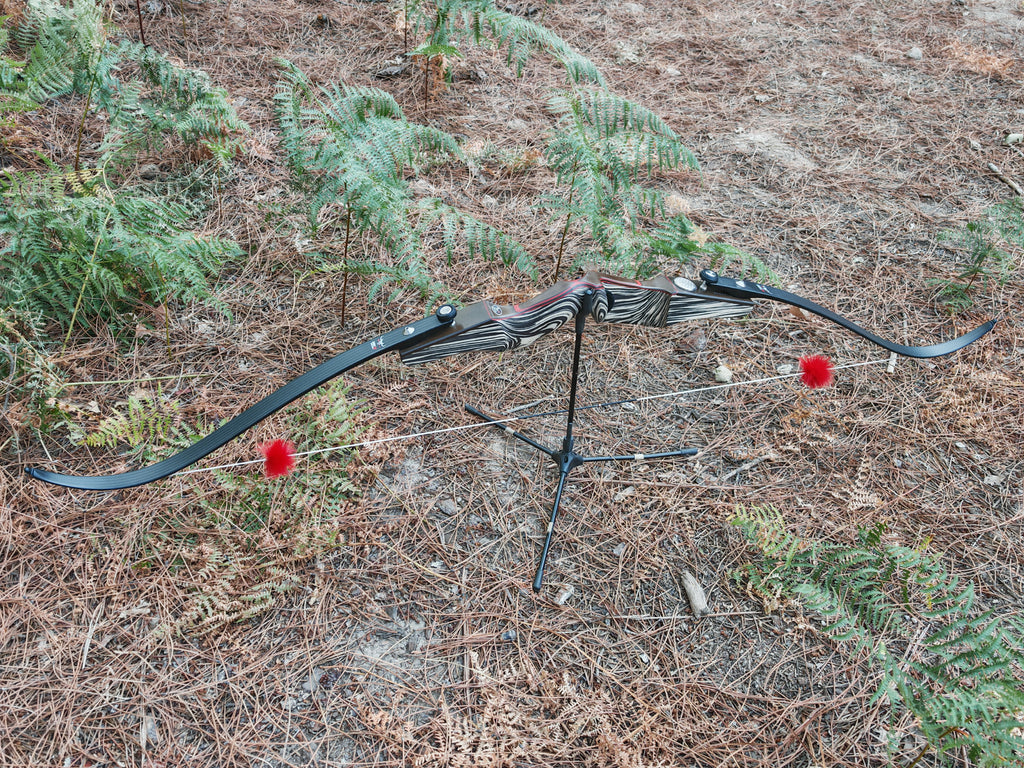 Palas ILF 100% carbono monolith N3 Progress Pro 70"